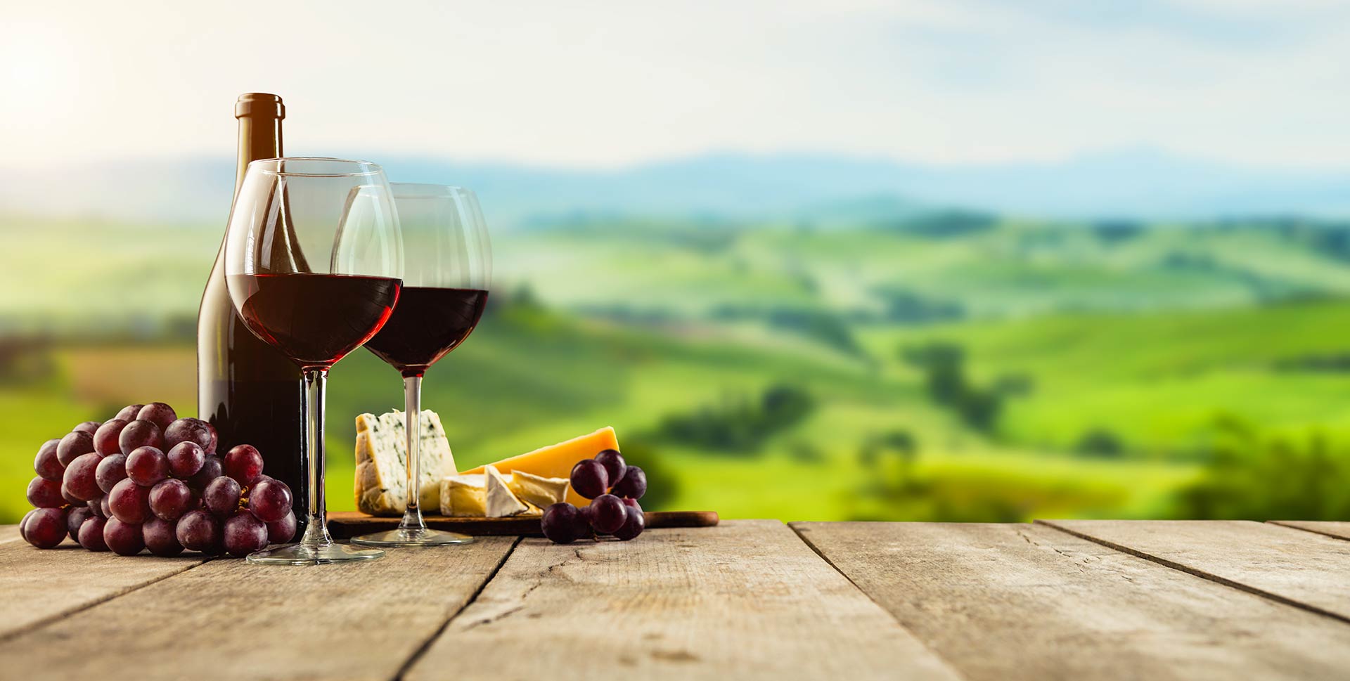 Il panorama con vigneti e bottiglia vino rosso Agriturismo Domizia